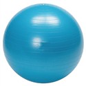Vinex Gym Ball - Sonic (Anti-Burst)